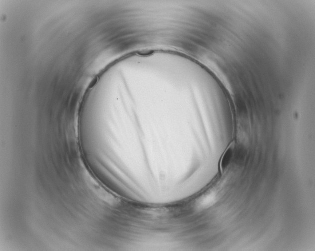 X0000088581388200706151700