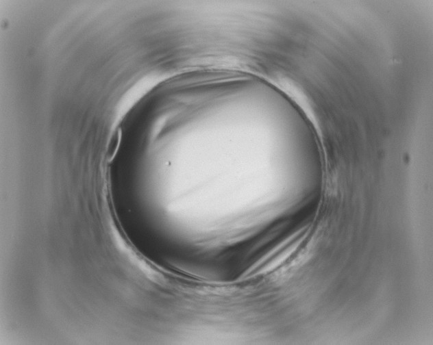 X0000088581389200706151700