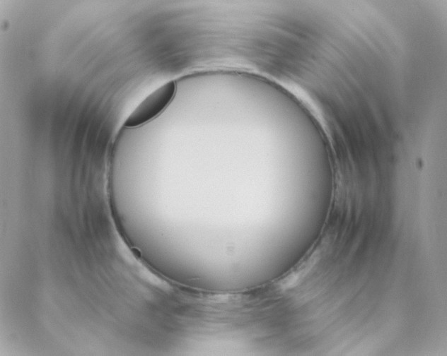 X0000088581390200706151700