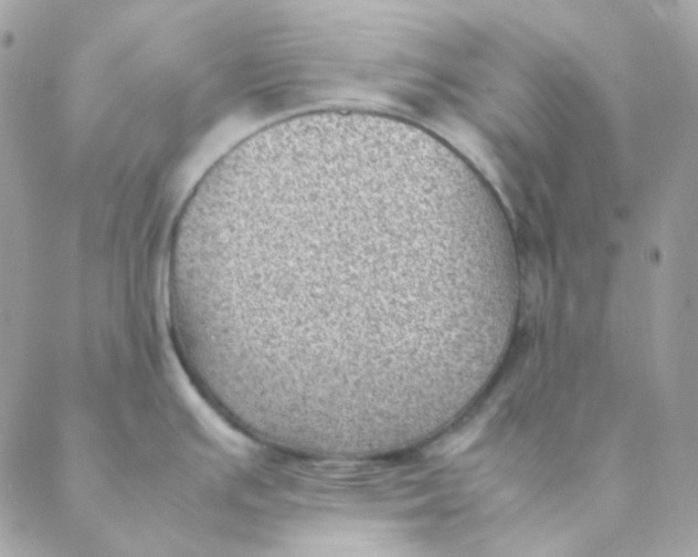 X0000088581391200706151700