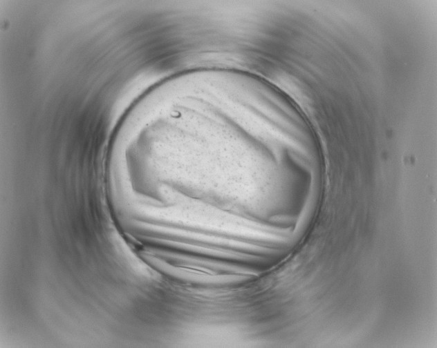 X0000088581392200706151700