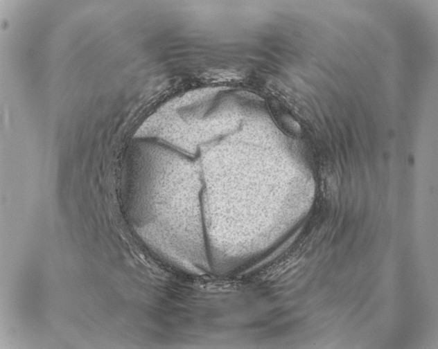 X0000088581393200706151700