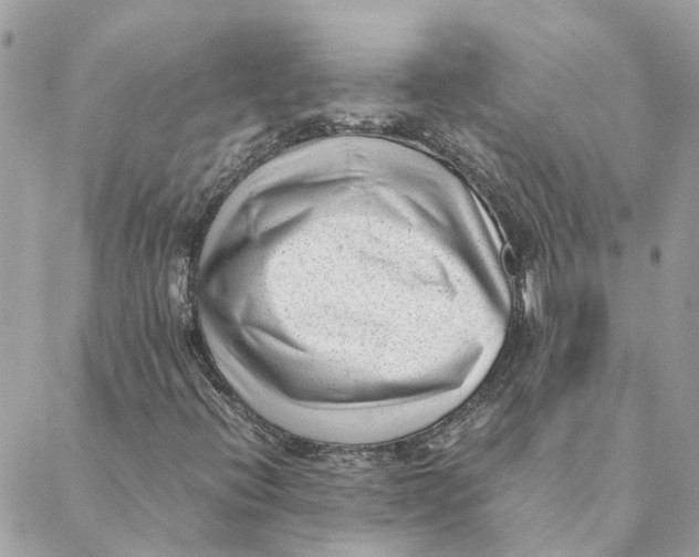 X0000088581396200706151700