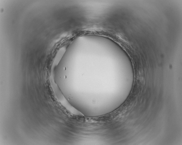 X0000088581398200706151700