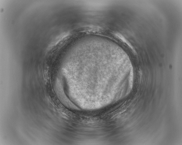 X0000088581399200706151700