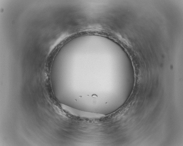 X0000088581400200706151700