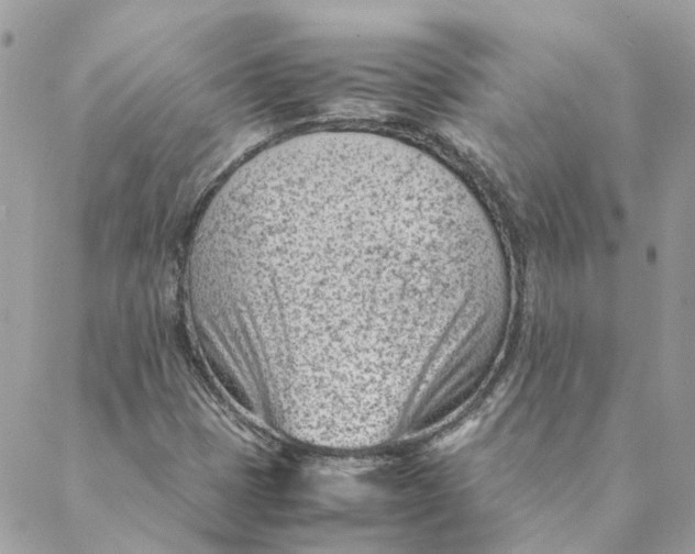 X0000088581401200706151700