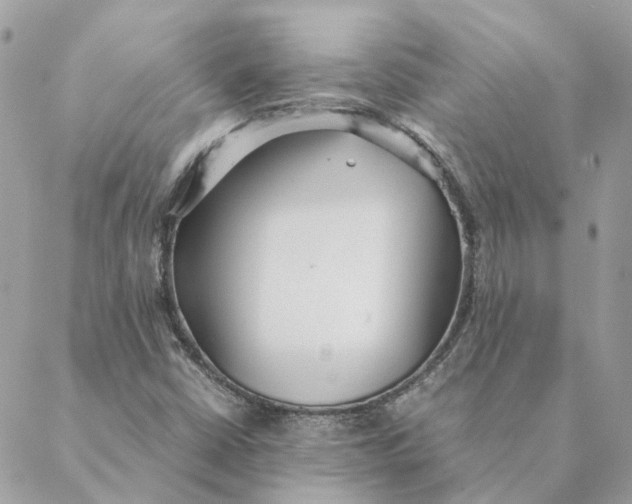 X0000088581402200706151700