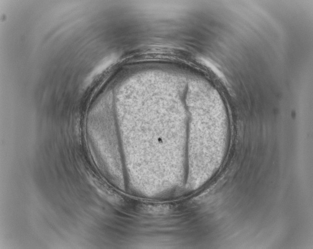 X0000088581403200706151700