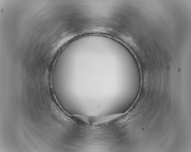 X0000088581404200706151700