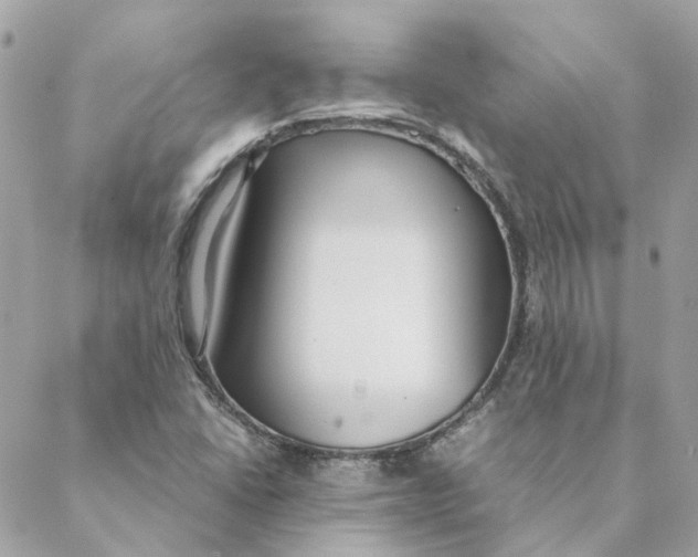 X0000088581406200706151700