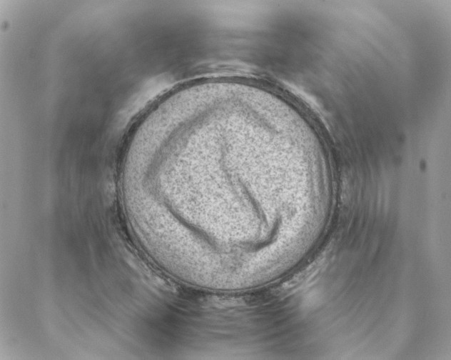 X0000088581407200706151700