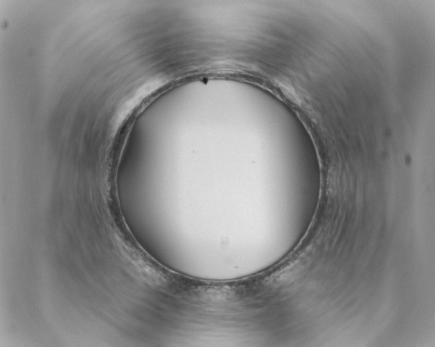 X0000088581410200706151700