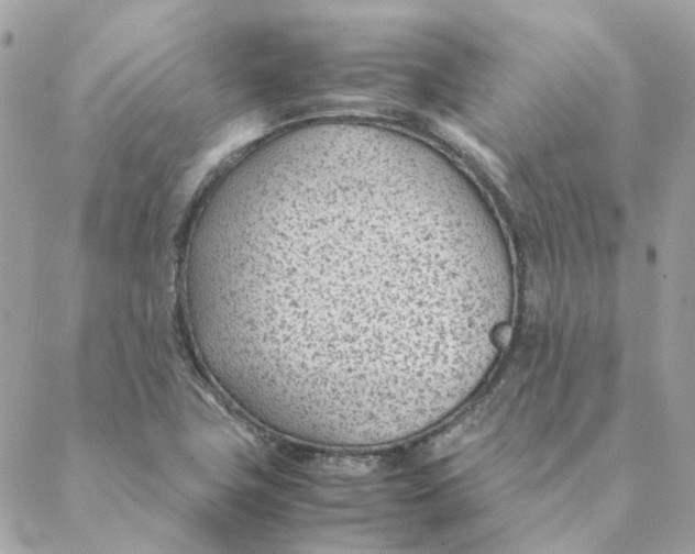 X0000088581411200706151700