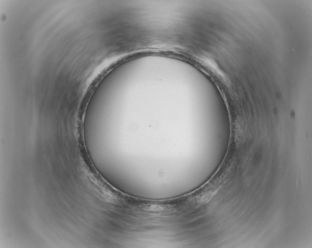 X0000088581412200706151700