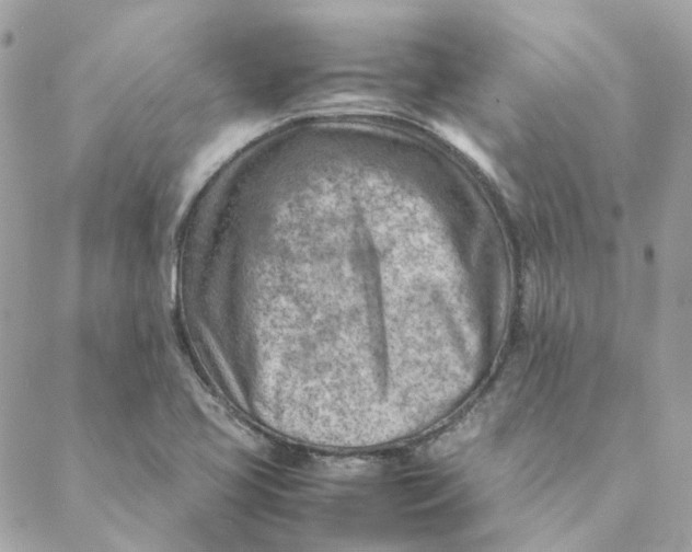 X0000088581413200706151700