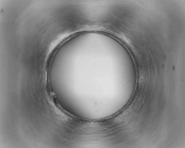 X0000088581414200706151700