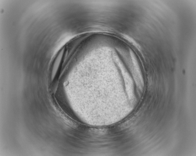 X0000088581415200706151700