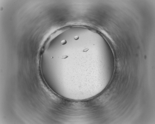 X0000088581416200706151700