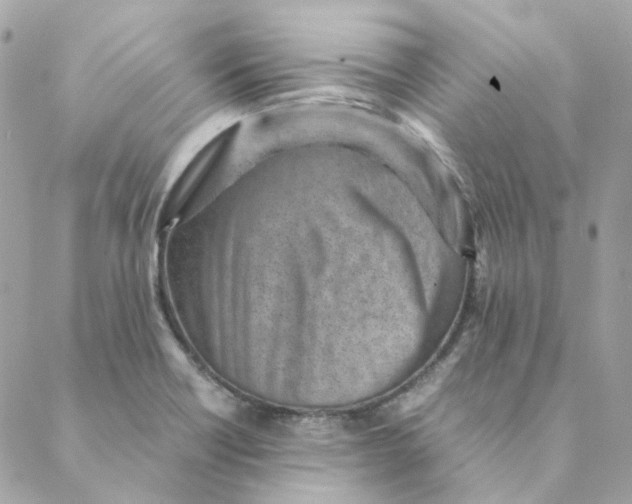 X0000088581418200706151700