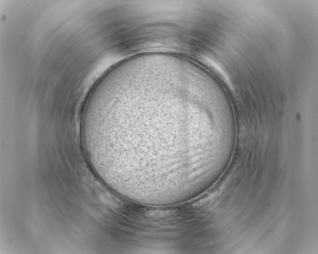 X0000088581419200706151700