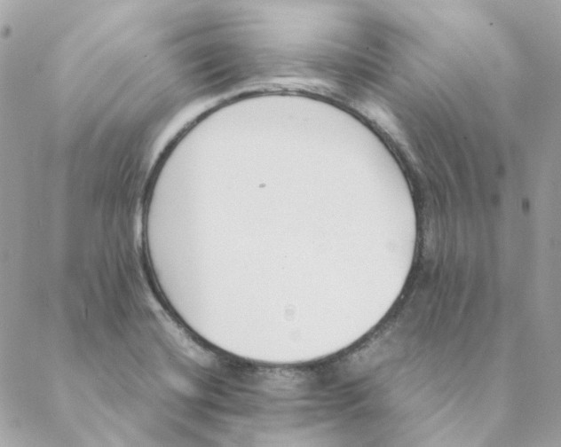 X0000088581420200706151700