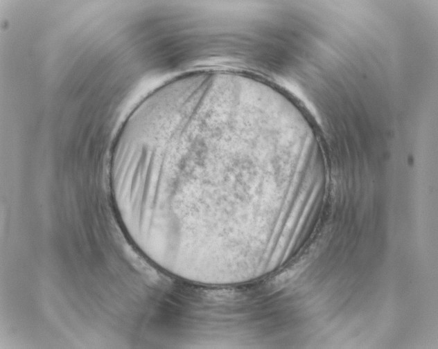 X0000088581421200706151700