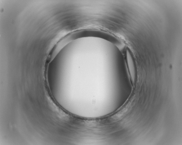 X0000088581422200706151700