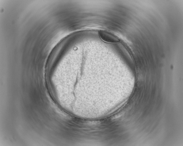 X0000088581423200706151700