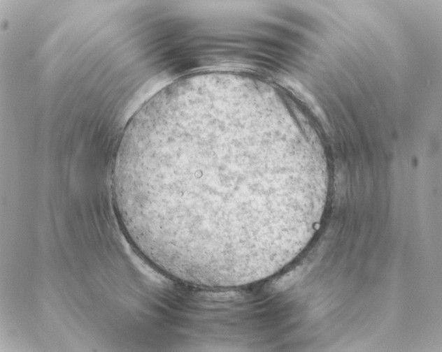 X0000088581425200706151700