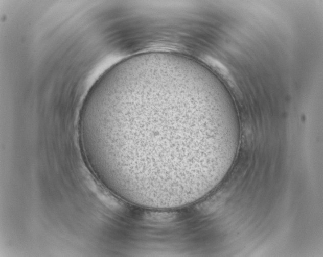 X0000088581427200706151700