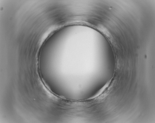 X0000088581430200706151700