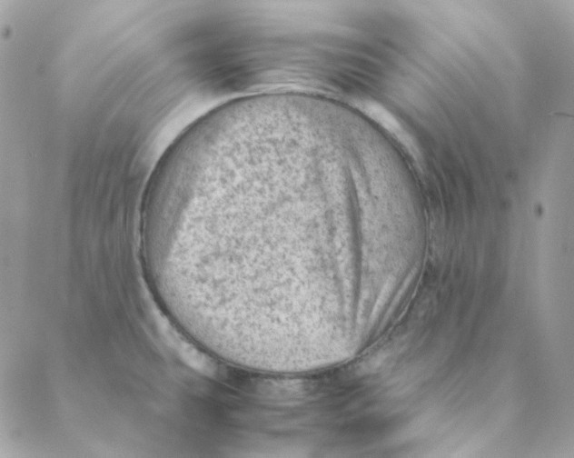 X0000088581431200706151700