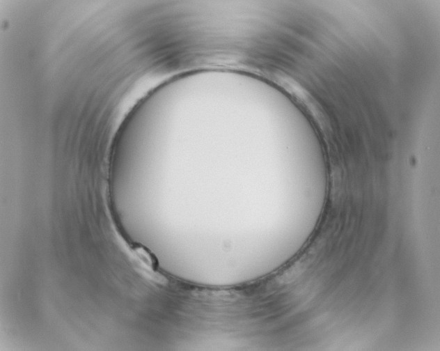 X0000088581432200706151700