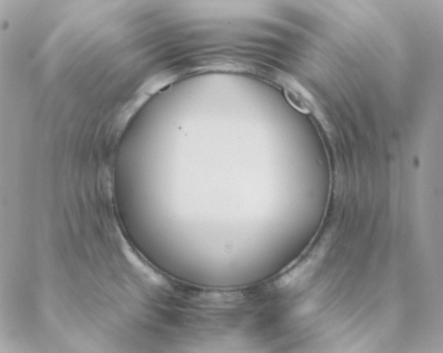 X0000088581433200706151700