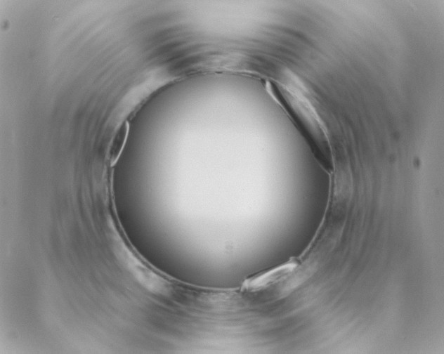 X0000088581434200706151700