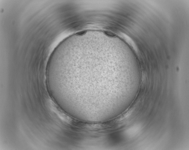 X0000088581435200706151700