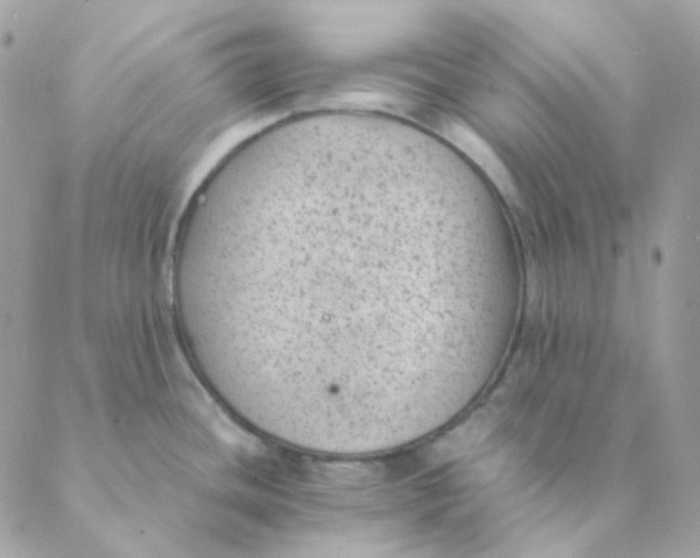 X0000088581436200706151700