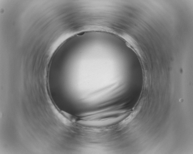 X0000088581438200706151700