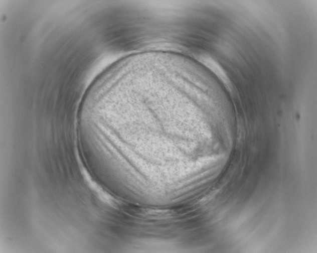 X0000088581439200706151700