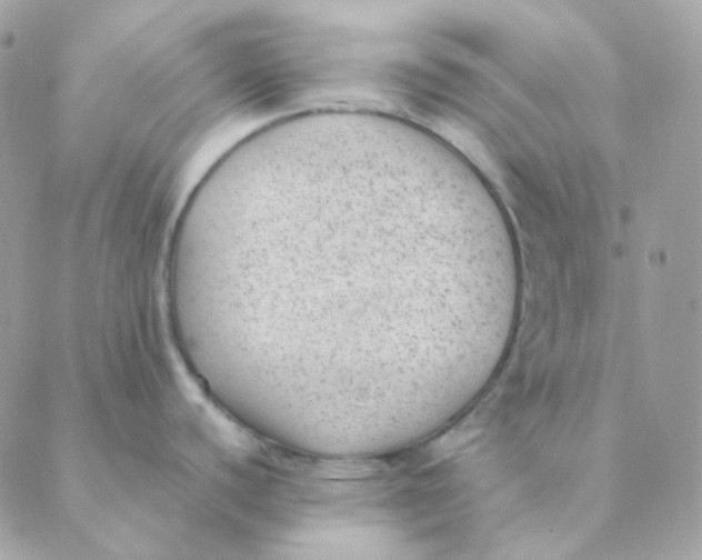 X0000088581440200706151700