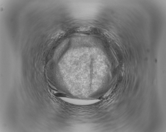 X0000088581441200706151700