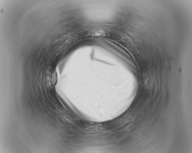 X0000088581442200706151659