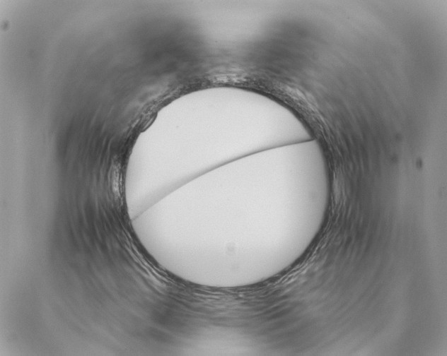 X0000088581444200706151659