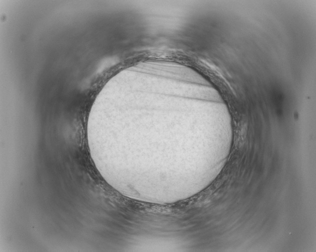 X0000088581446200706151659