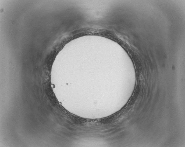 X0000088581447200706151659