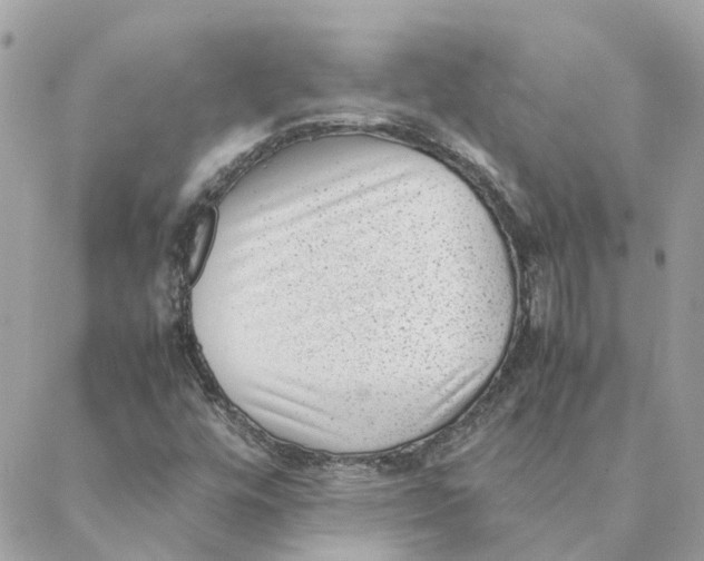 X0000088581448200706151659