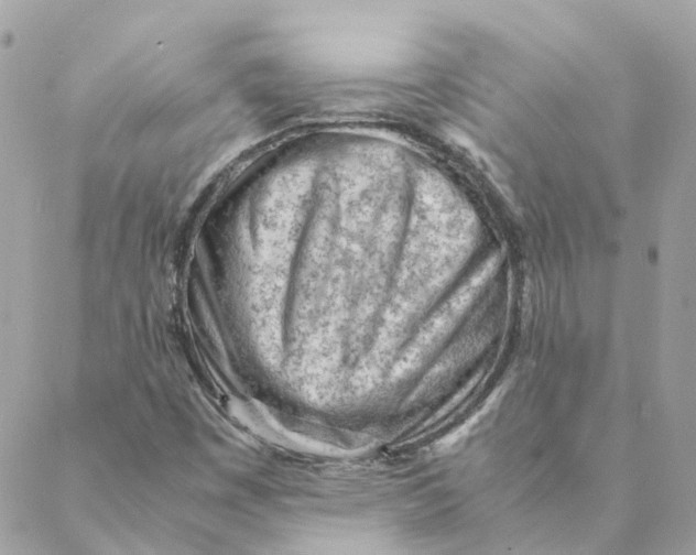 X0000088581449200706151659