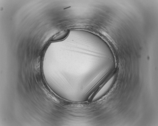 X0000088581450200706151659