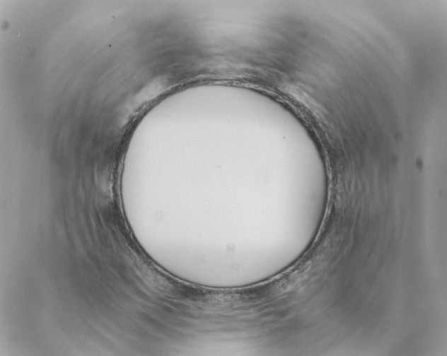 X0000088581451200706151659